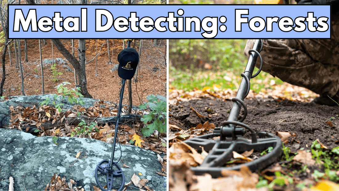Pictures of metal detectors in forests, with text saying metal detecting: forests