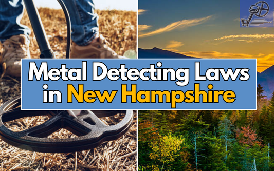 picture of a forest and a metal detector with text saying metal detecting laws in new hampshire