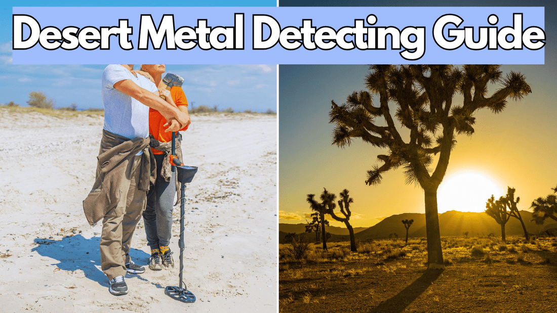 Image of a desert and metal detectorist.